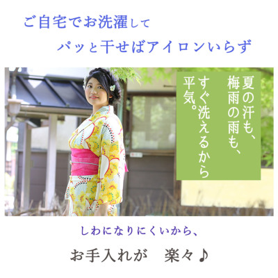 美品 洗える夏着物 綿 ライオン 個性派浴衣 着物 A2964 美品 洗える夏着物 綿 ライオン 個性派浴衣 着物 A2964