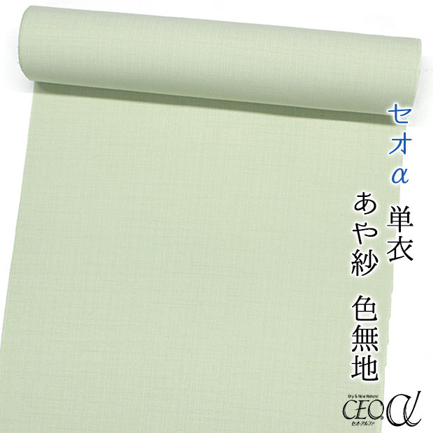 単衣　色無地　フルセット　夏着物　絽　紗　植物柄　緑　G6 楽天市場】洗える着物 絽 色無地（着物｜和服）：レディース