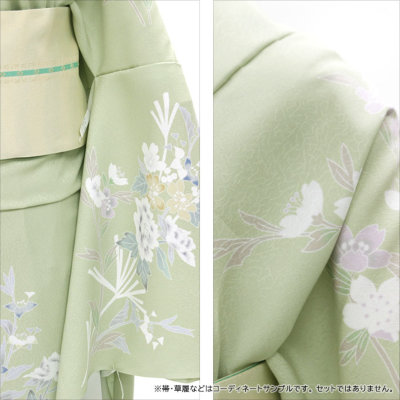 東レシルック 付下げ訪問着 hmg46薄抹茶色系／加賀調草花 【別八掛